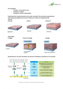 Samenvatting Celbiologie Deeltentamen 1 9780321709332