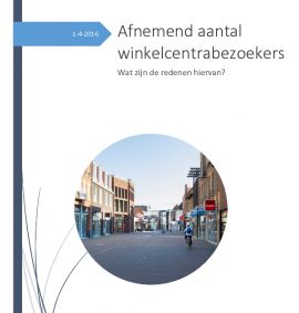 Onderzoeksrapport onderzoeksvaardigheden