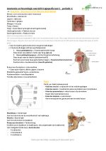 Anatomie en Neurologie Logopedie – Jaar 1 periode 1