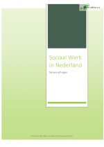 Sociaal Werk in Nederland