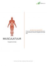 Samenvatting alle spieren/musculatuur volgens Trail guide to the body